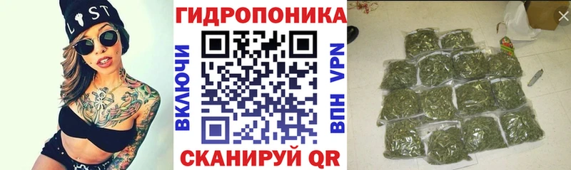 Где купить Хотьково Галлюциногенные грибы  КОКАИН  APVP  Марихуана  kraken ССЫЛКА  Гашиш  Мефедрон 