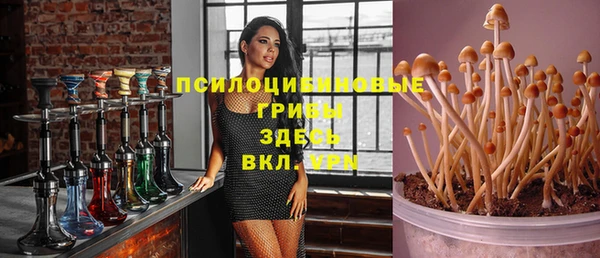 сатива Армянск