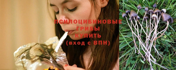 сатива Армянск