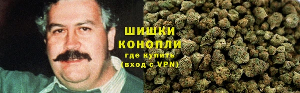 ПСИЛОЦИБИНОВЫЕ ГРИБЫ Аркадак