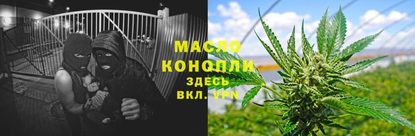 сатива Армянск